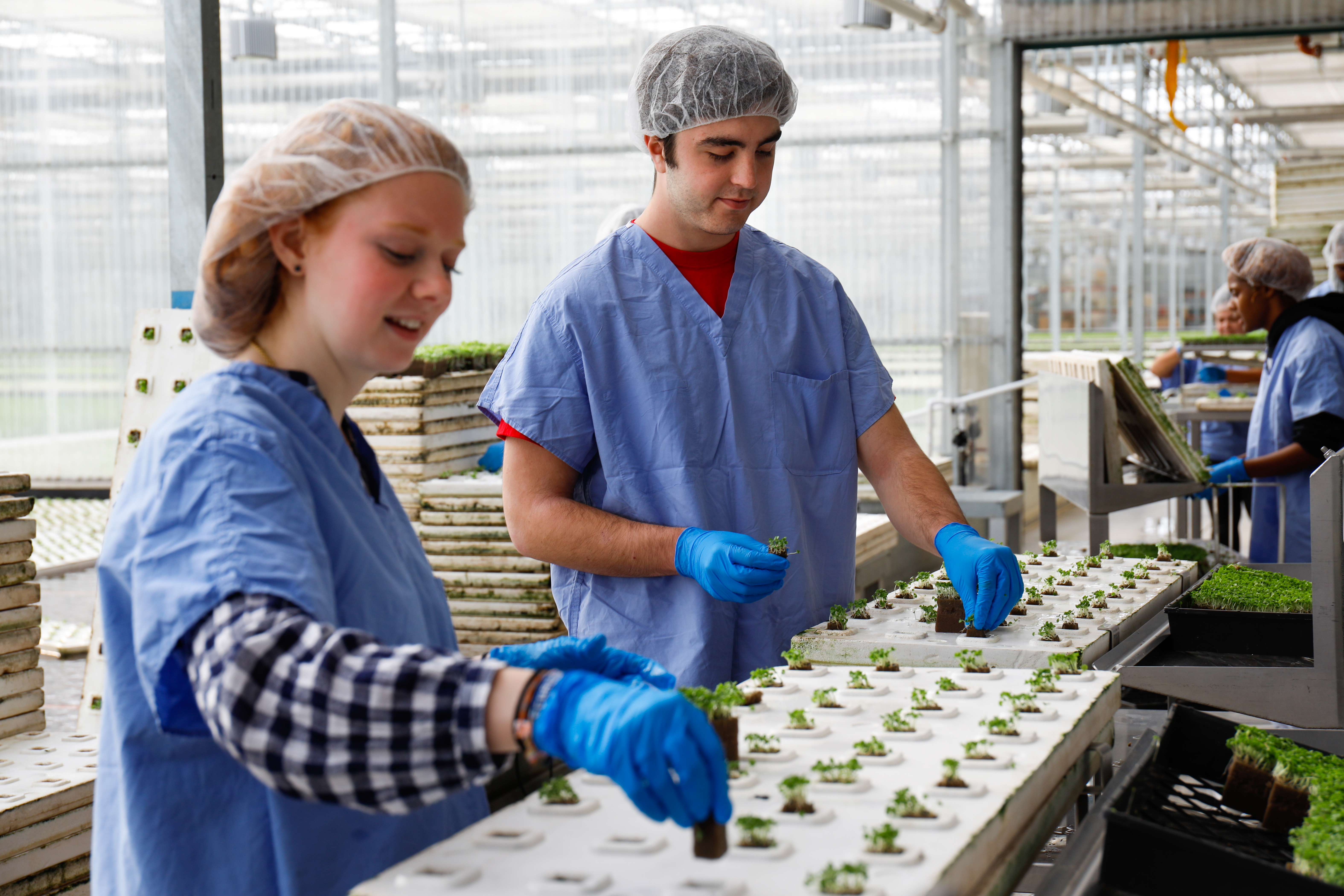 students interning at green city growers