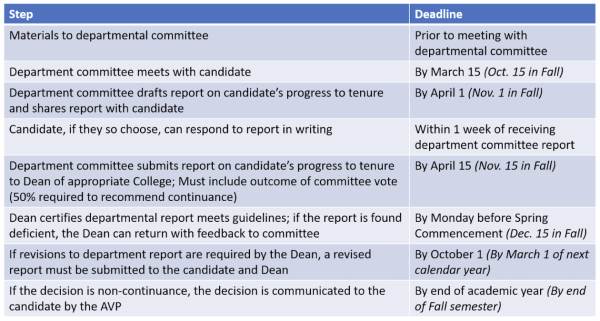 T&P Annual Review Process